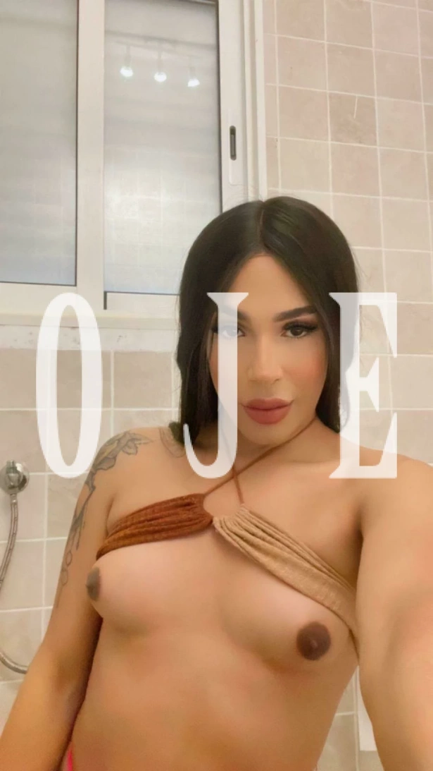 Travestis, Namoradinha, Massagem erótica, Despedida de solteiro